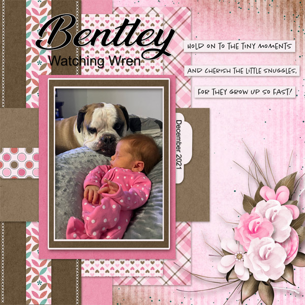Bentley_Wren