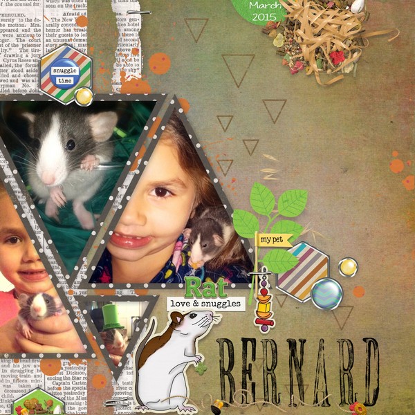 Bernard