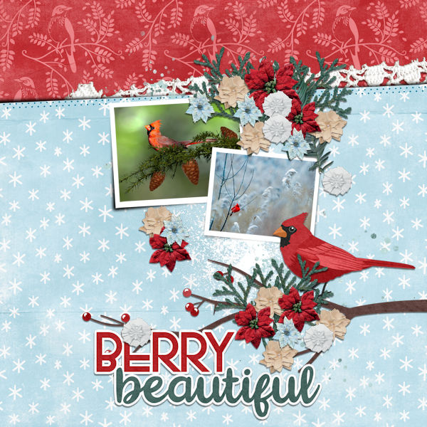 Berry Beautiful
