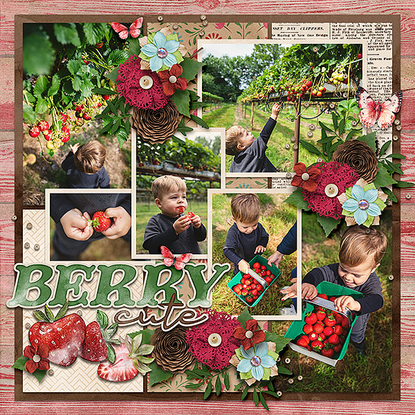 berry cute