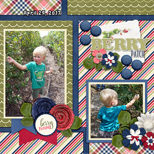 berry-patch-417