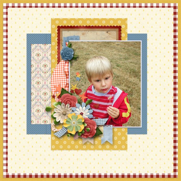 Berry Patch Picnic