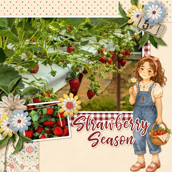 Berry-Patch-Picnic