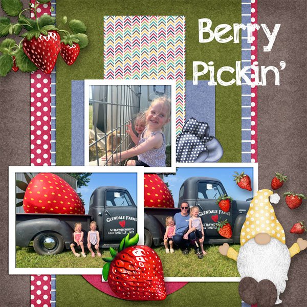 Berry Pickin RR.jpg