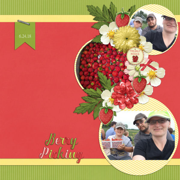 Berry Picking 6.24.18