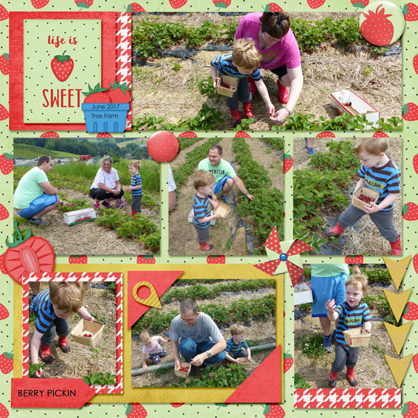 Berry Picking Fun