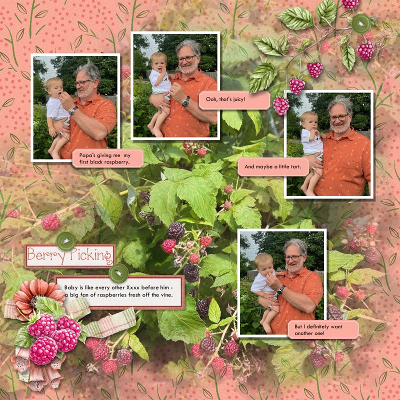 Berry Picking.jpg