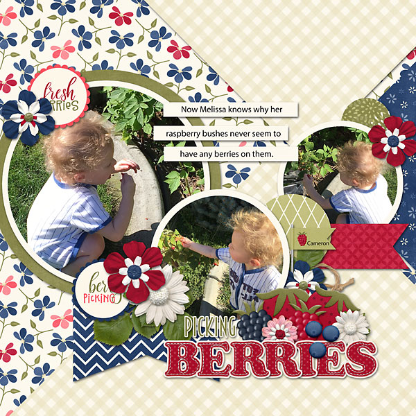 Berry-Sweet-Web
