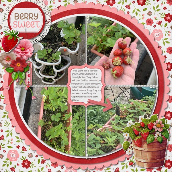 Berry Sweet