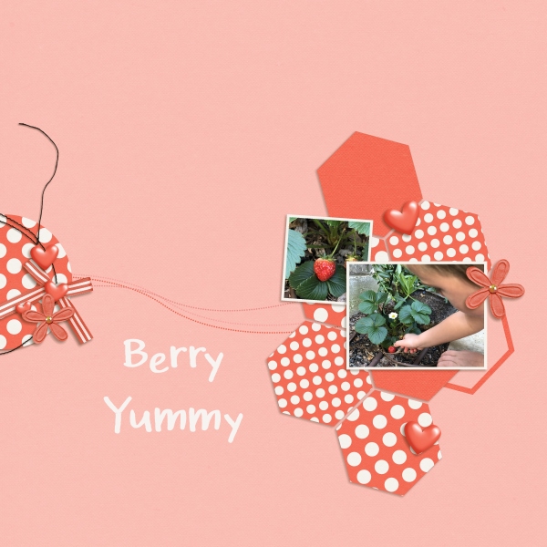 Berry Yummy