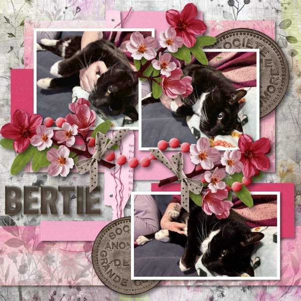 Bertie