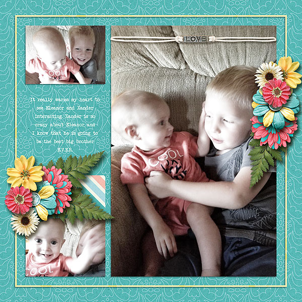 Best Big Brother