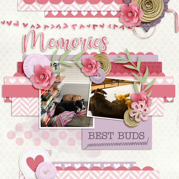 Best Buddies