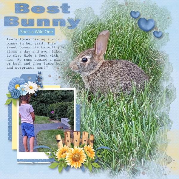 Best Bunny