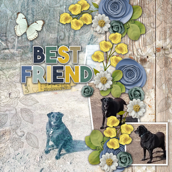 Best Friend