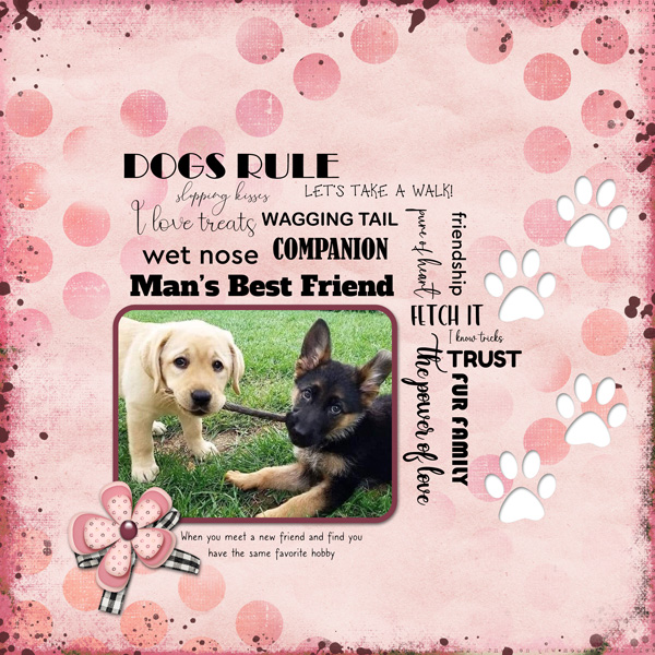 Best Friend