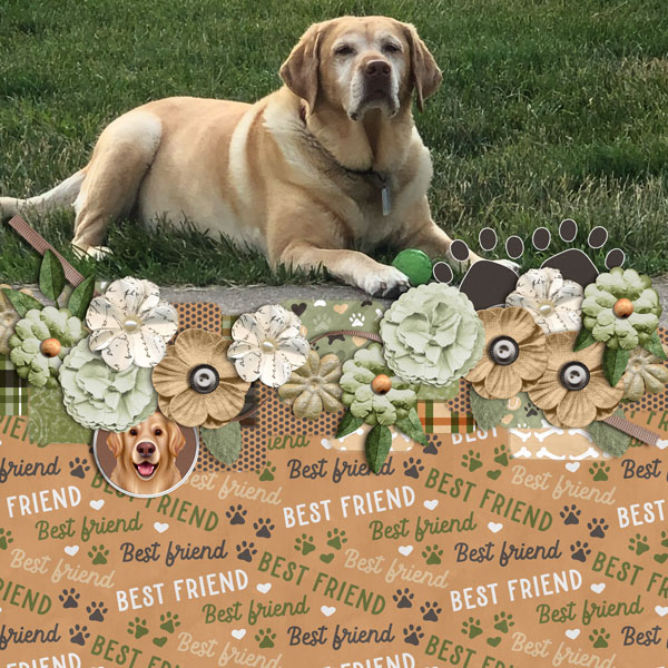 Best Friend