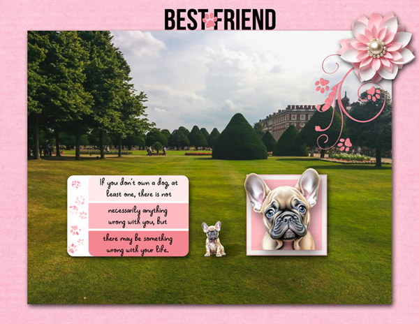 Best Friend