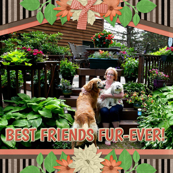 BEST FRIENDS FUR-EVER!