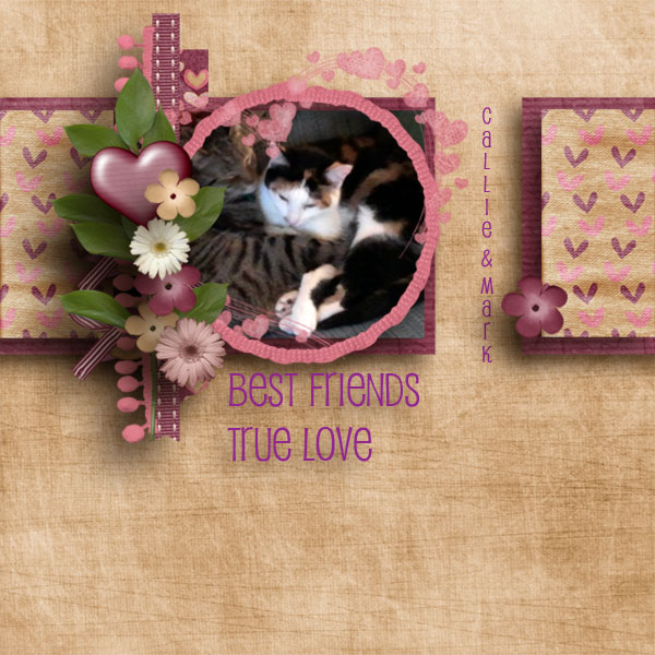 Best Friends True Love