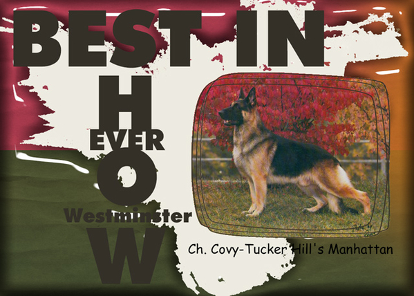 Best in Show Ever