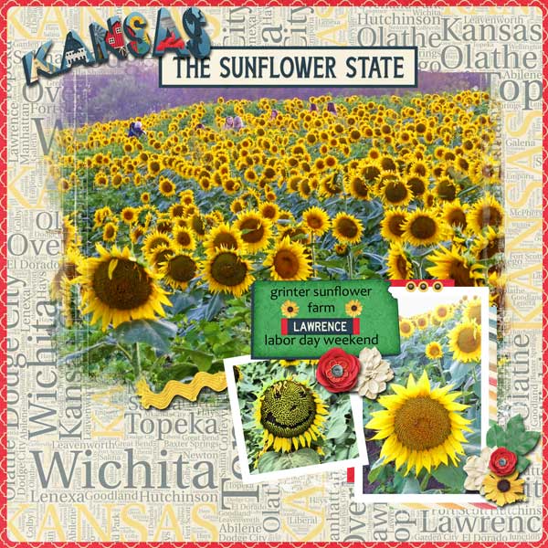 best-of-kansas-MSG