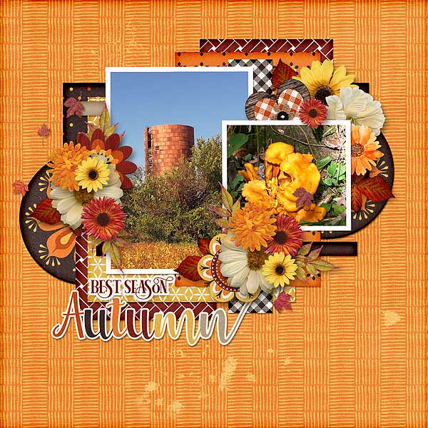 Best Season Autumn