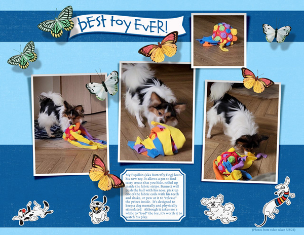 Best Toy Ever!