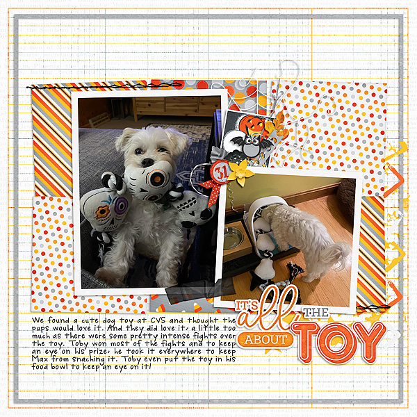 Best Toy Ever
