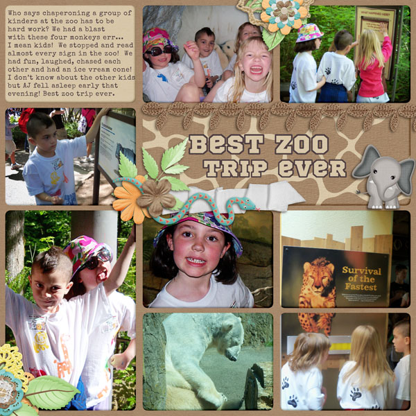 Best Zoo Trip