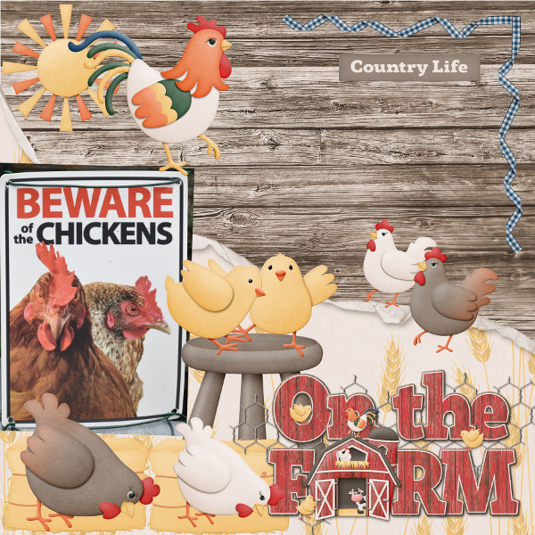 Beware of the Chickens