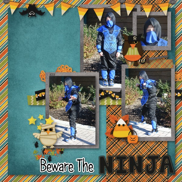 Beware The Ninja
