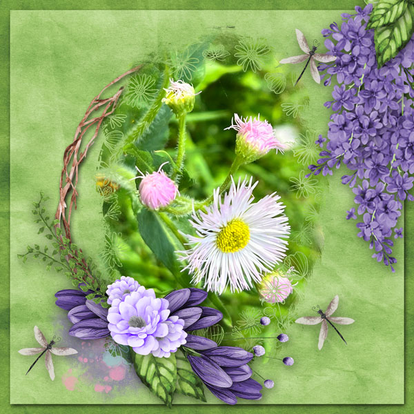 Beyond the garden gate