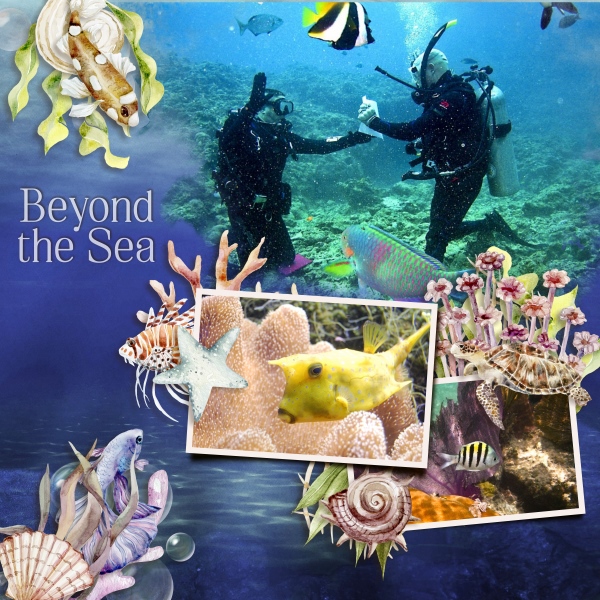Beyond the sea