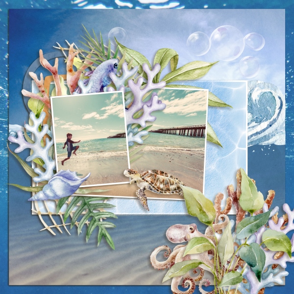 Beyond the sea