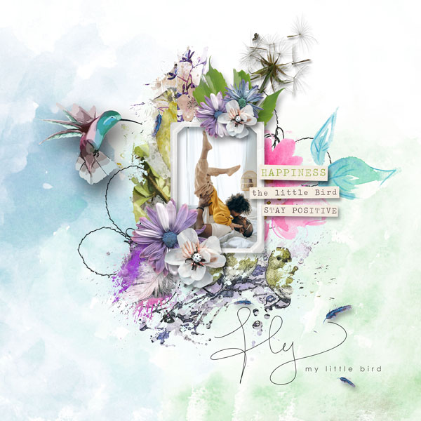 BFD-Aviary