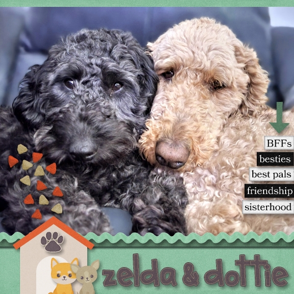 BFFs Forever