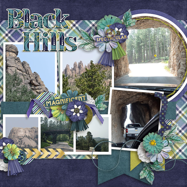 BH_Needles-Hwy