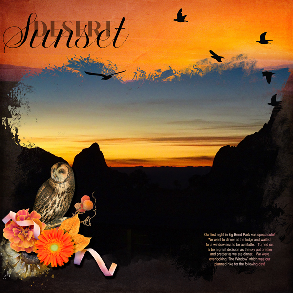 Big Bend Sunset