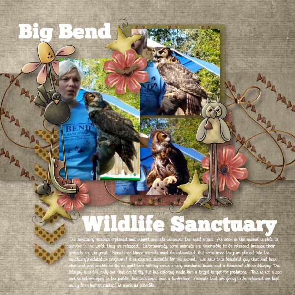 Big Bend Wildlife Sanctuary
