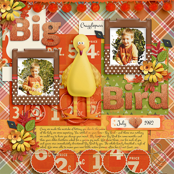 Big Bird Love