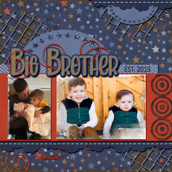 Big Brother Est 2019