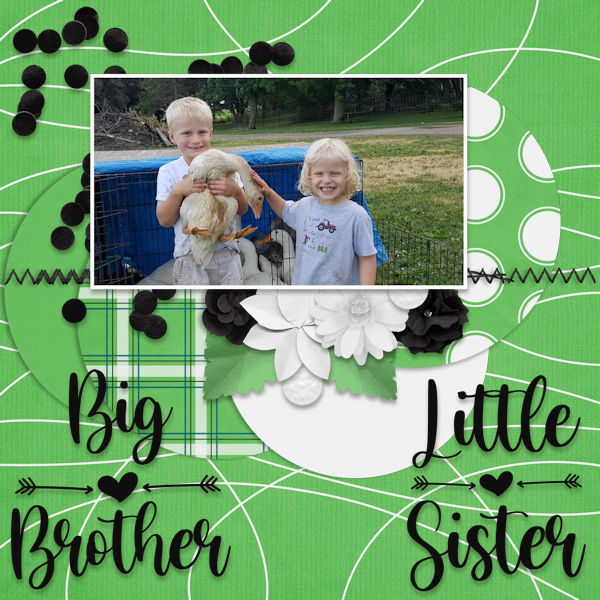 Big Brother