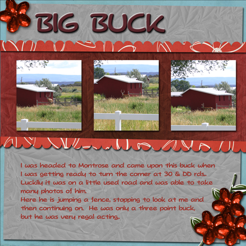Big Buck