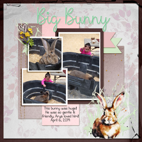 Big Bunny