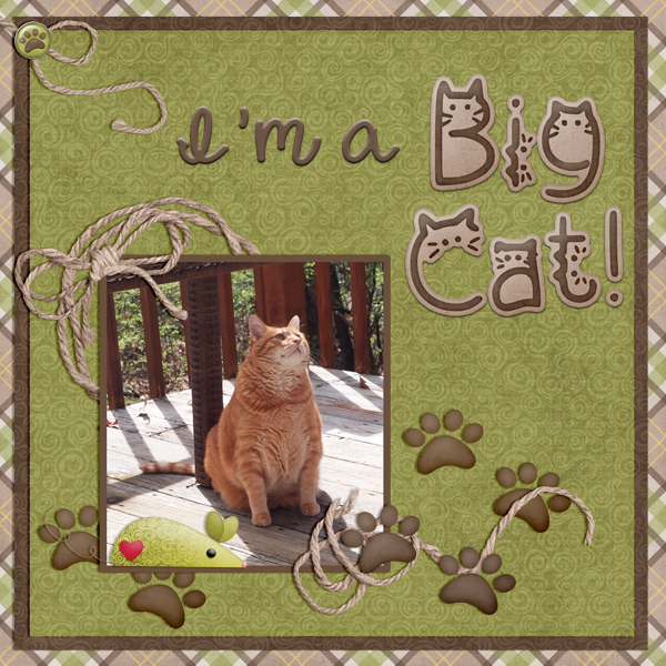 Big Cat