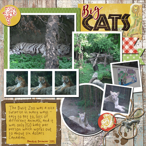 Big Cats