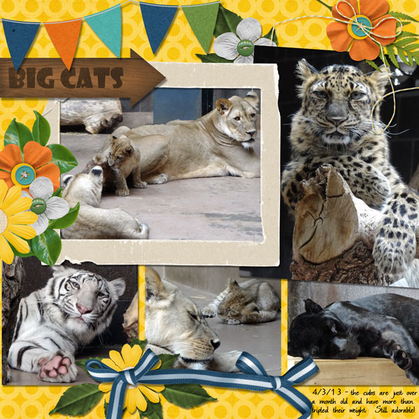 big cats