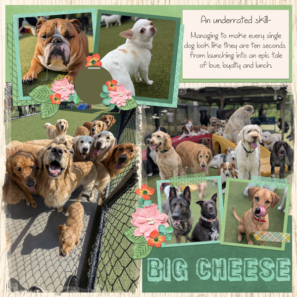 Big Cheese