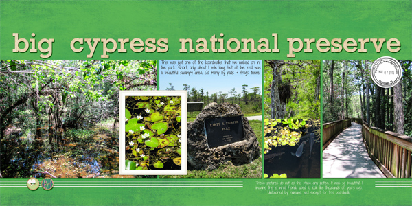 Big Cypress